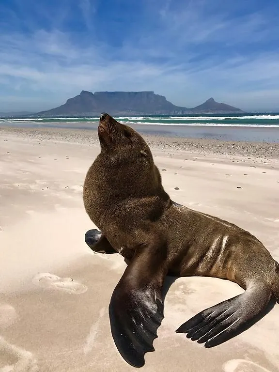 Atlantic Breeze Hotel Cape Town Guest house